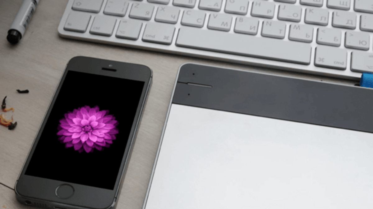 iPhone 桌布有多貴?竟然光一朵花就拍了 285 小時!秉著一貫的超高標準要求,蘋果張張桌布都親自攝影,為求最佳呈現還堅決不用電腦特效。這篇文章告訴你它們都是怎麼來的…(圖/愛范兒提供) iPhone 桌布有多貴?竟然光一朵花就拍了 285 小時!秉著一貫的超高標準要求,蘋果張張桌布都親自攝影,為求最佳呈現還堅決不用電腦特效。這篇文章告訴你它們都是怎麼來的…(圖/愛范兒提供)