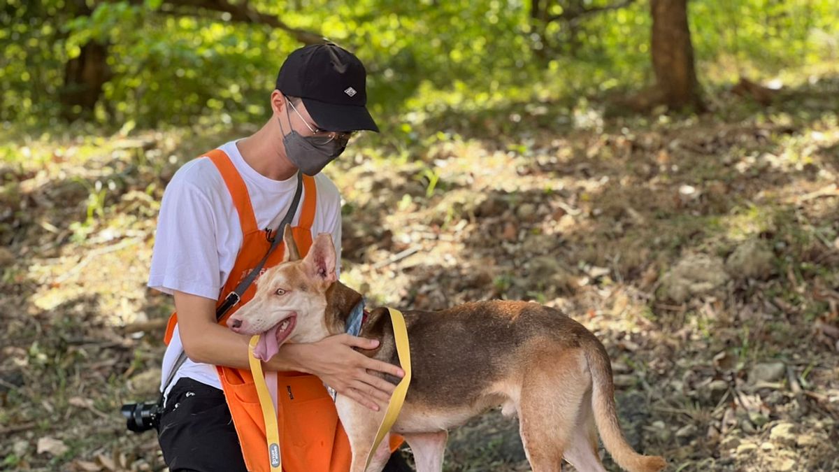 新北市近年透過里辦公室設立認養小棧,帶動領養風氣。(圖/高雄市動保處提供) 新北市近年透過里辦公室設立認養小棧,帶動領養風氣。(圖/高雄市動保處提供)