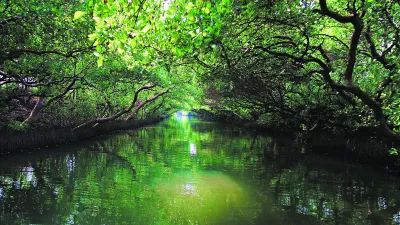 來到四草,玩完「綠色隧道」別急著離開啊!(圖/陳秀琍拍攝、天下雜誌提供)