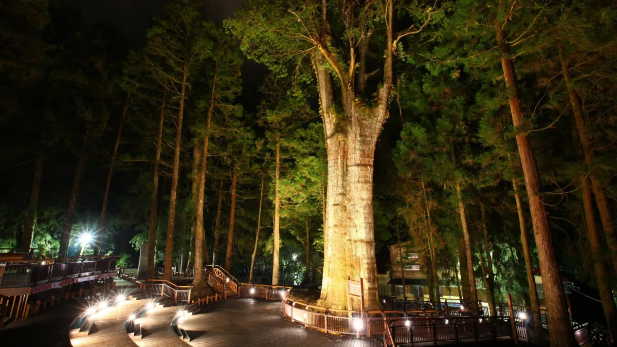 阿里山神木區新亮點 多功能舞台獲優良建設工程獎