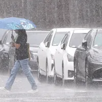 専門家は、北部および東部で明確かつ持続的な降雨が予想され、累積した「大量の雨」による災害への警戒が必要だと指摘している。(写真/顏麟宇撮影) 専門家は、北部および東部で明確かつ持続的な降雨が予想され、累積した「大量の雨」による災害への警戒が必要だと指摘している。(写真/顏麟宇撮影)