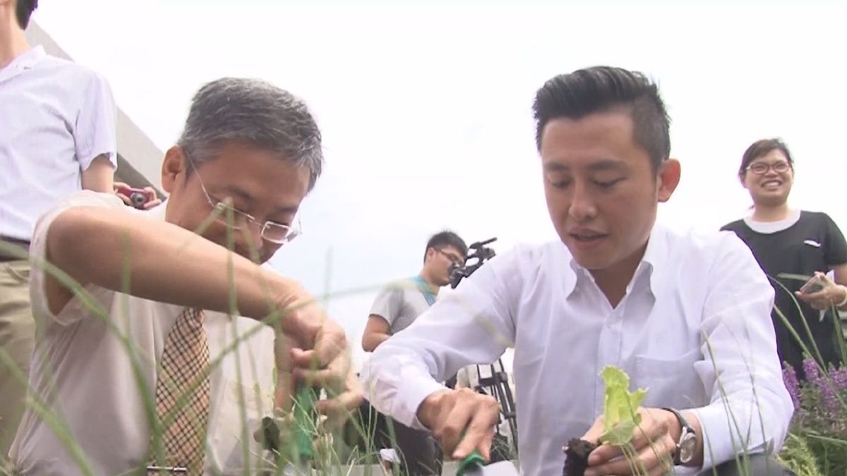 元培科大完成綠屋頂 竹市府參訪肯定成果 元培科大完成綠屋頂 竹市府參訪肯定成果