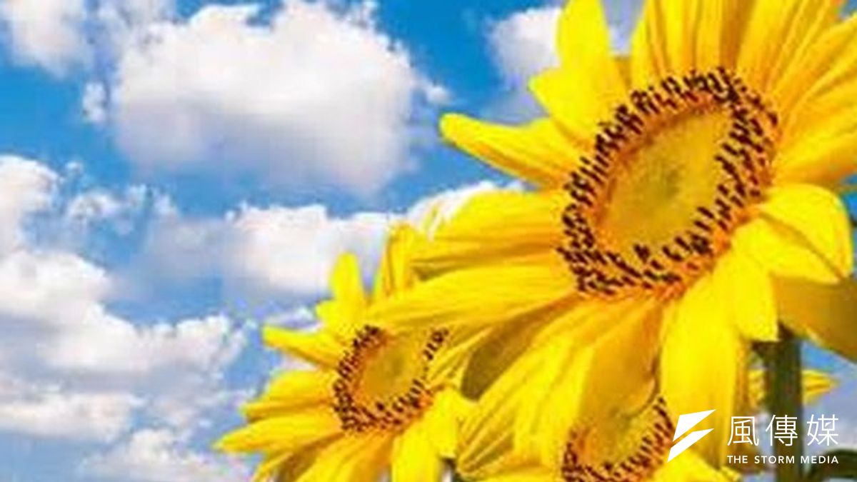 學生運動不能忘記原初的理想性。(取自網路) 學生運動不能忘記原初的理想性。(取自網路)