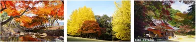 nara06.JPG nara06.JPG