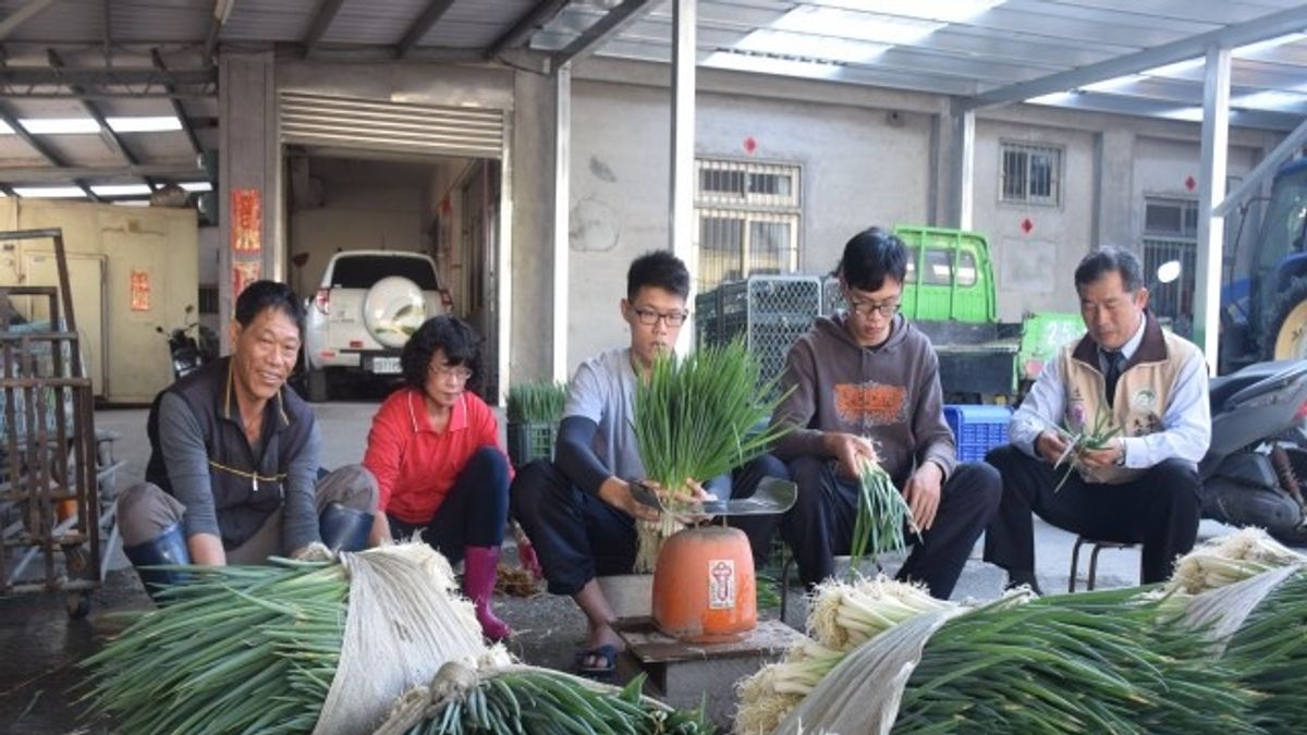 黃家兩兄弟返鄉務農 種植無毒蔬果有成 黃家兩兄弟返鄉務農 種植無毒蔬果有成