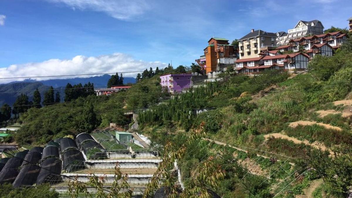 朱淑娟專欄:清境農場旅遊安全,中央地方責無旁貸