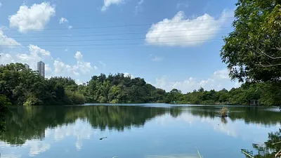 2025年汐止白匏湖祕境將打造成生態園區,讓民眾近距離感受自然復育的力量與都會淺山豐富生態與湖光山色。(圖/新北市工務局提供)