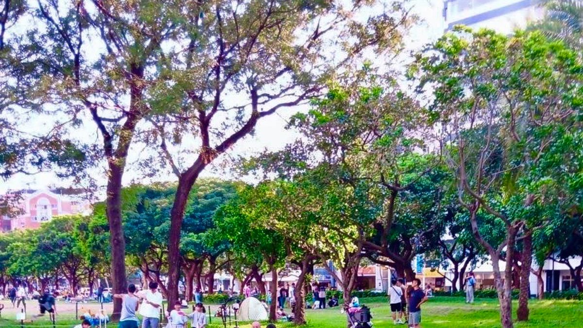 「台中市民廣場」為台中市知名的遊憩景點,在市中心區有著大片優質綠地,市民假日休憩去處。(圖/台中市政府) 「台中市民廣場」為台中市知名的遊憩景點,在市中心區有著大片優質綠地,市民假日休憩去處。(圖/台中市政府)