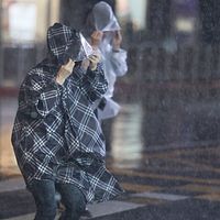中央気象署は本日(23日)午前8時30分に超強級の台風18号(ラガサ)の陸上警報を解除したものの、熱帯活動は依然活発である。気象専門家の賈新興氏によると、フィリピン東方沖の熱帯擾乱「92W」が今夜も発達を続けており、熱帯低気圧に成長する可能性がある。今年第20号台風(ブアローイ)に水曜か木曜頃に発達する見込みで、現時点ではルソン島方面へ進む可能性が高いとされている。(資料写真/柯承惠撮影) 中央気象署は本日(23日)午前8時30分に超強級の台風18号(ラガサ)の陸上警報を解除したものの、熱帯活動は依然活発である。気象専門家の賈新興氏によると、フィリピン東方沖の熱帯擾乱「92W」が今夜も発達を続けており、熱帯低気圧に成長する可能性がある。今年第20号台風(ブアローイ)に水曜か木曜頃に発達する見込みで、現時点ではルソン島方面へ進む可能性が高いとされている。(資料写真/柯承惠撮影)