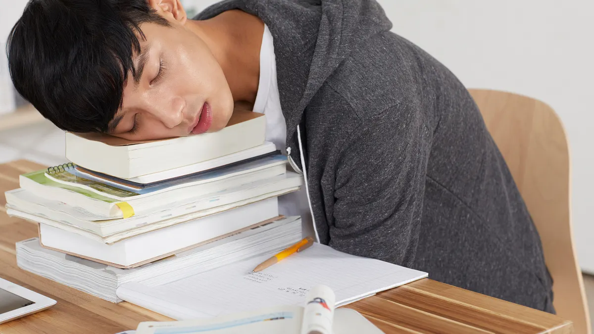 吃飽就想睡怎麼辦?專家建議,從飲食習慣開始改變。(示意圖/取自xframe) 吃飽就想睡怎麼辦?專家建議,從飲食習慣開始改變。(示意圖/取自xframe)