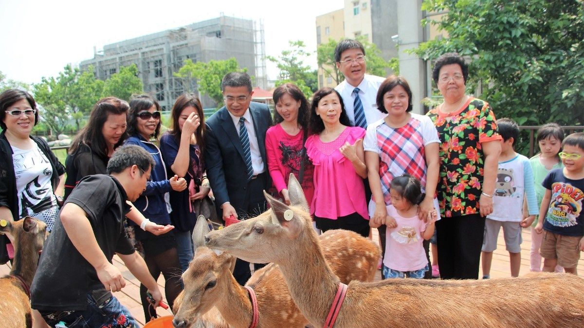 打造適合鹿群生長的鹿園 鹿港小鹿搬進新家了 打造適合鹿群生長的鹿園 鹿港小鹿搬進新家了
