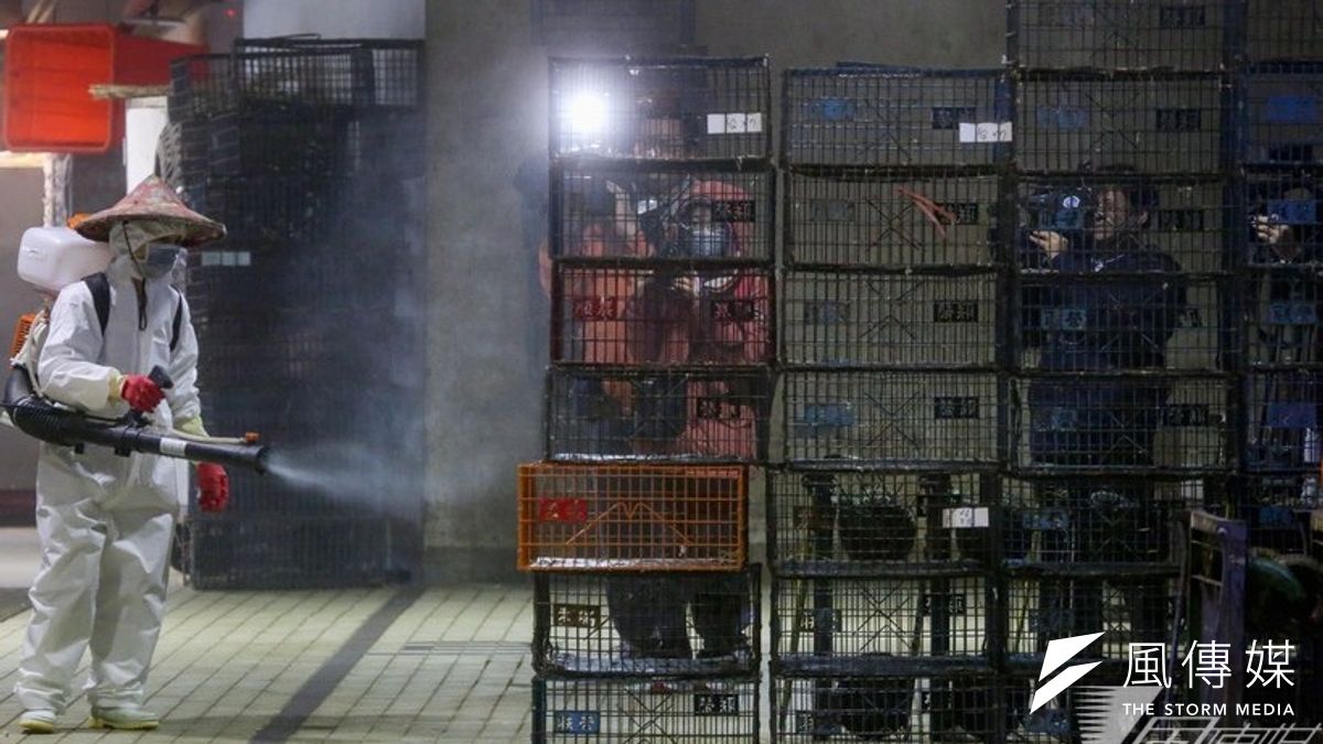 彰化土雞場被驗出H5N2病毒,為台灣首度於雞隻身上發現此種H5N2病毒。圖為台北市家禽批發市場進行消毒。(資料照片,余志偉攝) 彰化土雞場被驗出H5N2病毒,為台灣首度於雞隻身上發現此種H5N2病毒。圖為台北市家禽批發市場進行消毒。(資料照片,余志偉攝)