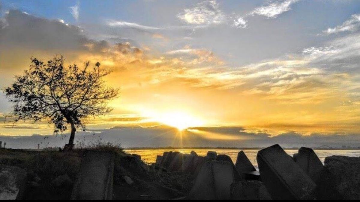 2019的第一天可到高雄市長韓國瑜的戶籍地,林園區汕尾觀看「市境之南樹」及欣賞大武山日出。(圖/高市府觀光局提供) 2019的第一天可到高雄市長韓國瑜的戶籍地,林園區汕尾觀看「市境之南樹」及欣賞大武山日出。(圖/高市府觀光局提供)