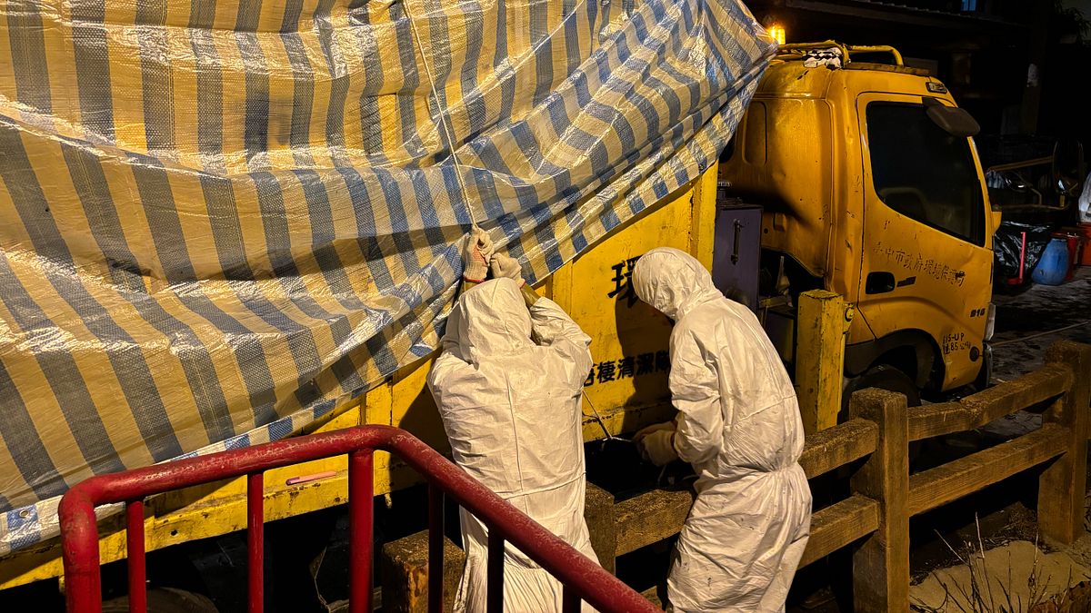 謝錦芳專欄:這個政府只會讓問題一再循環?