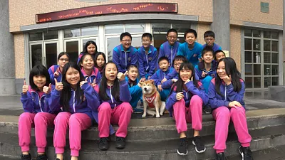新北三峽安溪國中校犬可樂每到下課同學都爭相與牠合影,對她們來說,已把牠當成家人好友看待 。(圖/新北市農業局提供)