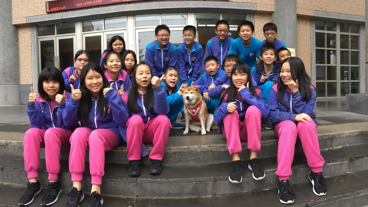 新北三峽安溪國中校犬可樂每到下課同學都爭相與牠合影,對她們來說,已把牠當成家人好友看待 。(圖/新北市農業局提供)