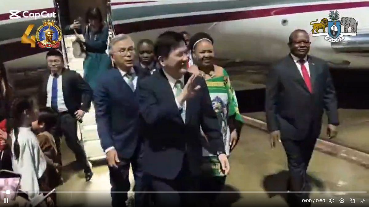 賴清德去不了換他出訪!林佳龍飛抵史瓦帝尼,出席國王登基40年慶典