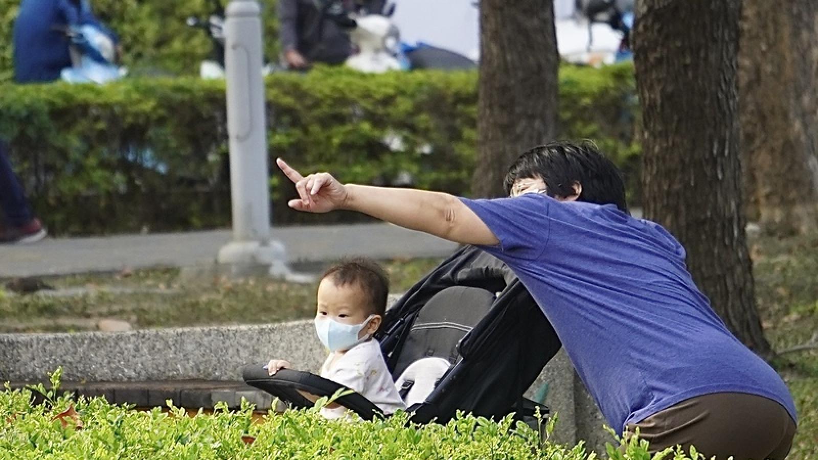 謝錦芳專欄:台灣GDP成長率近40年新高,為何生育率全球最低?