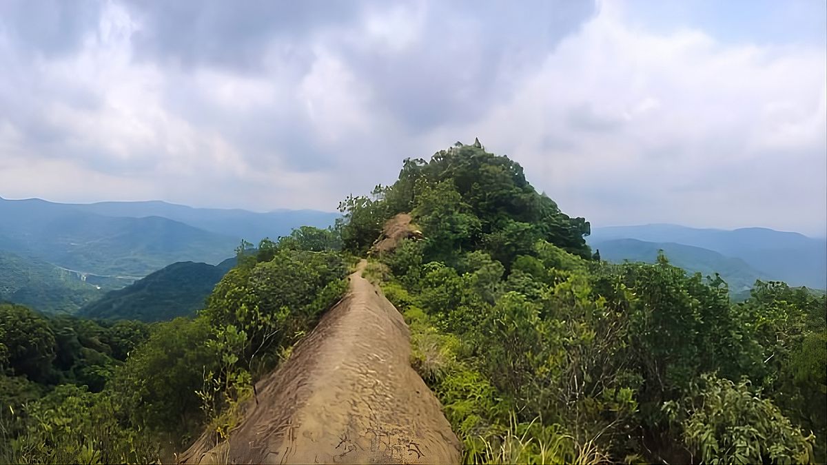 春遊新北微笑山線 探索新北山林之美17 happy go !