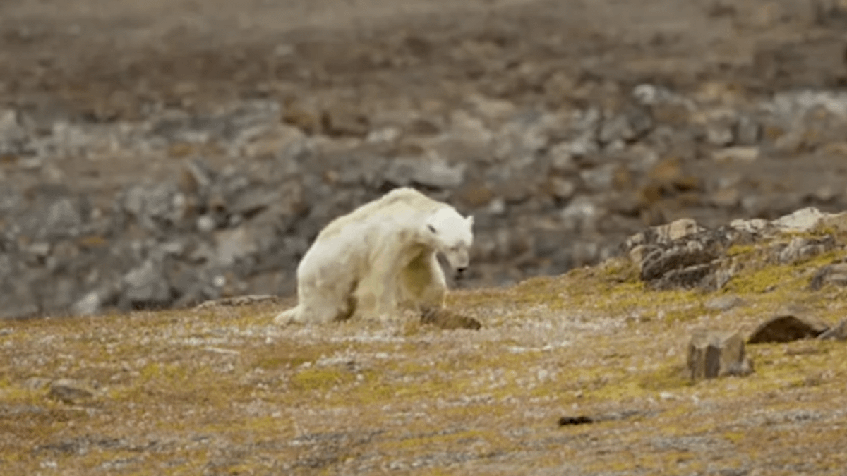 在全球各國均以經濟復甦為優先的大前提下,過去幾年,投資人已經開始關注的環境和氣候變遷等投資議題,或許會短暫退居後位。(截自Youtube) 在全球各國均以經濟復甦為優先的大前提下,過去幾年,投資人已經開始關注的環境和氣候變遷等投資議題,或許會短暫退居後位。(截自Youtube)