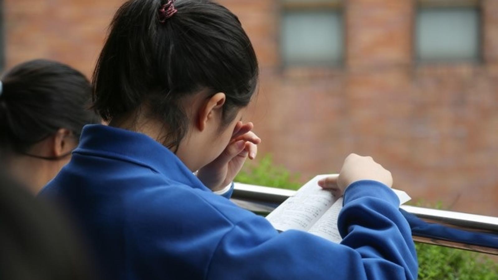 偏鄉小學都講越南語?網揭密「百萬新住民」10大顛覆 全台外配人數、分布一次看