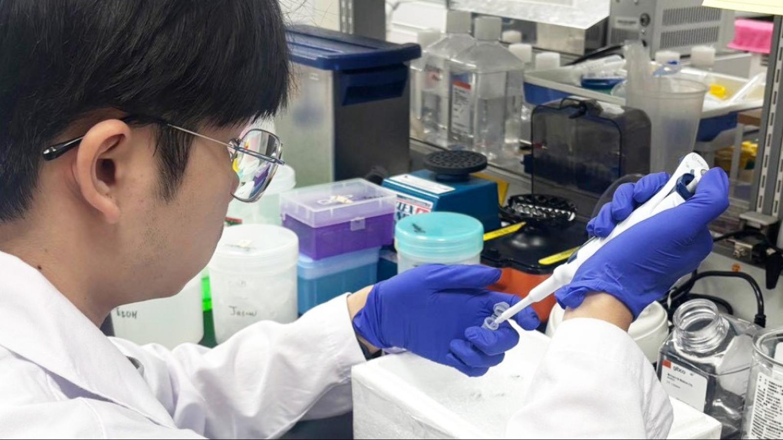 張瑞雄觀點:AI浪潮下,大學還剩什麼?