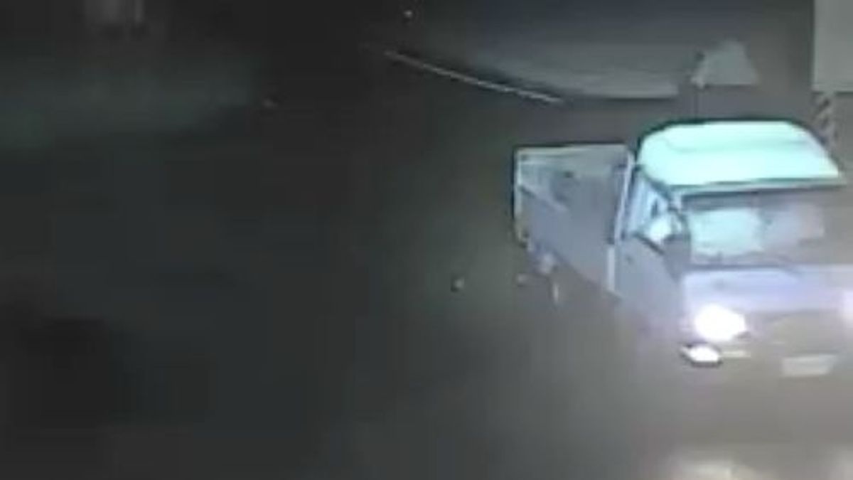 惡意!偷竊毛小孩棄放產業道路 警調監視器揪賊 惡意!偷竊毛小孩棄放產業道路 警調監視器揪賊