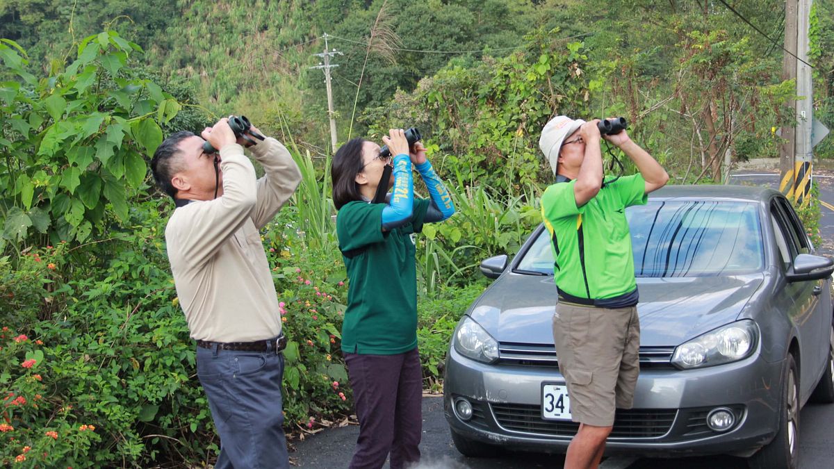 2017阿里山國家風景區賞鳥生態之旅,委託中華民國野鳥學會舉辦10梯次。〔圖/阿里山管理處提供〕 2017阿里山國家風景區賞鳥生態之旅,委託中華民國野鳥學會舉辦10梯次。〔圖/阿里山管理處提供〕