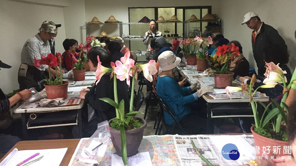 在都市叢林過田園生活 銀髮農夫找到生活第二春 在都市叢林過田園生活 銀髮農夫找到生活第二春