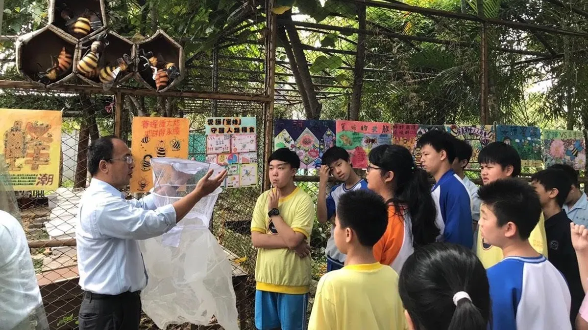 第59屆全國中小學科學展覽會於今(22)日起至26日一連舉行五天。新北市二重國中鍾兆晉校長獲頒全國唯一「15年指導獎」,今年新北市共有6位獲頒全國科展優良指導教師獎,為全國參賽隊伍數及獲頒優良指導教師獎最多的縣市。 (圖/新北市教育局提供) 第59屆全國中小學科學展覽會於今(22)日起至26日一連舉行五天。新北市二重國中鍾兆晉校長獲頒全國唯一「15年指導獎」,今年新北市共有6位獲頒全國科展優良指導教師獎,為全國參賽隊伍數及獲頒優良指導教師獎最多的縣市。 (圖/新北市教育局提供)