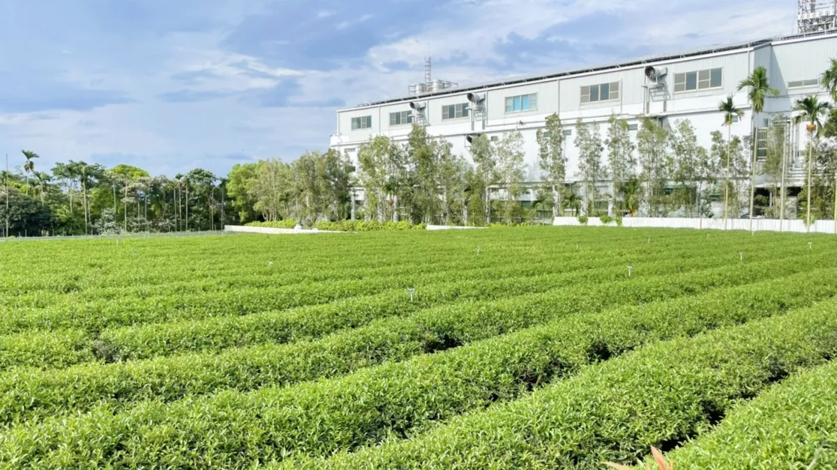 150萬即可當茶葉小農,8588萬則是台灣茶王。(圖/台灣房屋)