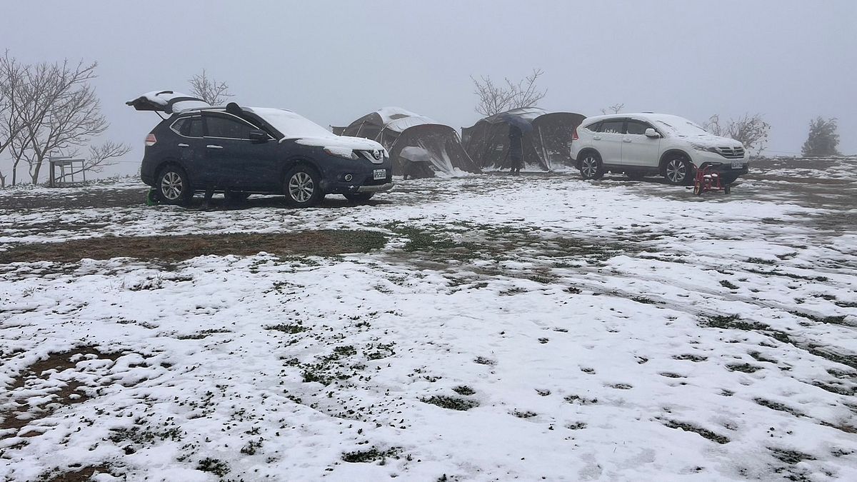 桃園拉拉山和中心路地區迎來 2025 年的初雪,吸引許多遊客上山追雪。(圖/桃園市政府觀旅局提供) 桃園拉拉山和中心路地區迎來 2025 年的初雪,吸引許多遊客上山追雪。(圖/桃園市政府觀旅局提供)