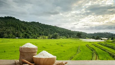 看見台灣基金會今年舉辦「台灣味故事大募集」活動,希望發掘更多台灣特色美食與故事,將特色料理的鮮明形象,推廣到全球。(圖/看見台灣基金會提供)