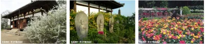nara02.JPG nara02.JPG