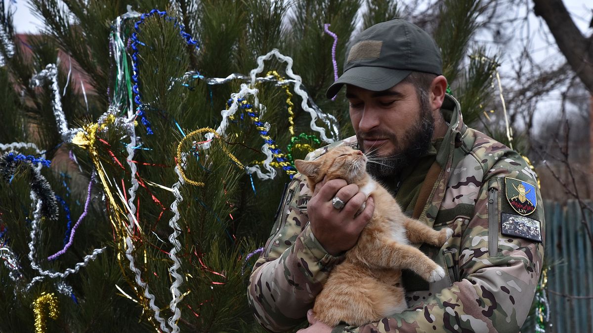 2024年12月31日,扎波羅熱前線的烏克蘭士兵正在逗弄他的貓咪。(美聯社) 2024年12月31日,扎波羅熱前線的烏克蘭士兵正在逗弄他的貓咪。(美聯社)