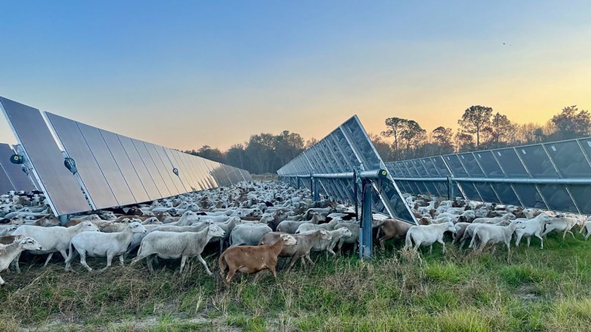 AI 時代,電力是新石油 中國搶佔能源場優勢,美國追趕、台灣面臨結構壓力