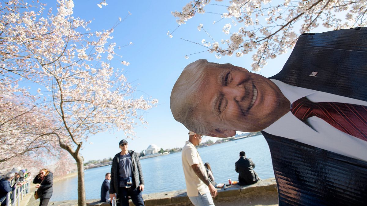 2025年3月27日,美國華府的櫻花與川普肖像。(美聯社) 2025年3月27日,美國華府的櫻花與川普肖像。(美聯社)