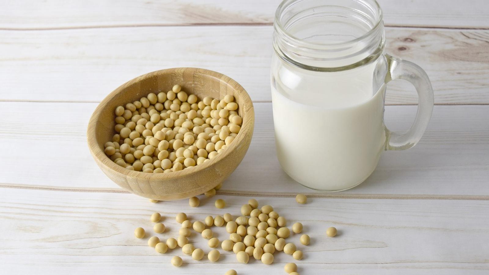 喝無糖豆漿反變胖?專家揭「1款是陷阱」:喝進一堆脂肪