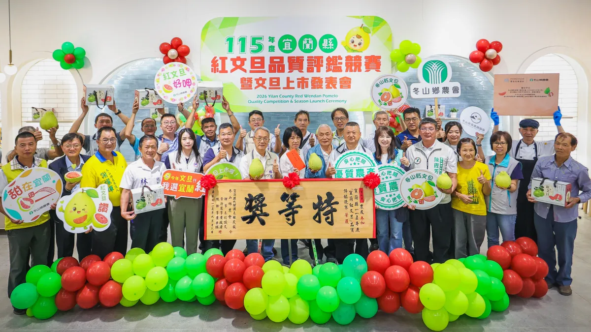 冬山鄉農會舉辦「宜蘭縣紅文旦評鑑競賽暨文旦上市發表會」,黃秋香榮獲特等獎。(圖/冬山鄉農會提供)