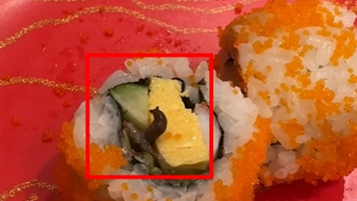 北市知名連鎖壽司餐廳的餐點中竟有活生生的蛞蝓!(圖/翻攝自Facebook/爆料公社(官方粉專專屬)) 北市知名連鎖壽司餐廳的餐點中竟有活生生的蛞蝓!(圖/翻攝自Facebook/爆料公社(官方粉專專屬))