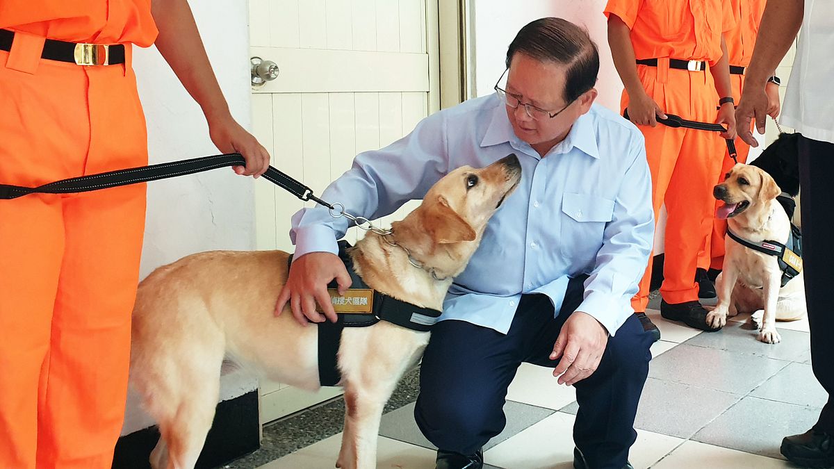 海巡署16日上午在所屬北部分署竹圍營區成立「海巡偵搜犬區隊」,署長陳國恩與軍犬親密互動(海巡署) 海巡署16日上午在所屬北部分署竹圍營區成立「海巡偵搜犬區隊」,署長陳國恩與軍犬親密互動(海巡署)