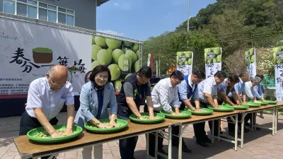 南投梅子節記者會農會總幹事何建中邀縣府農業處長陳瑞慶等貴賓一起製作脆梅。(圖/記者王秀禾攝)