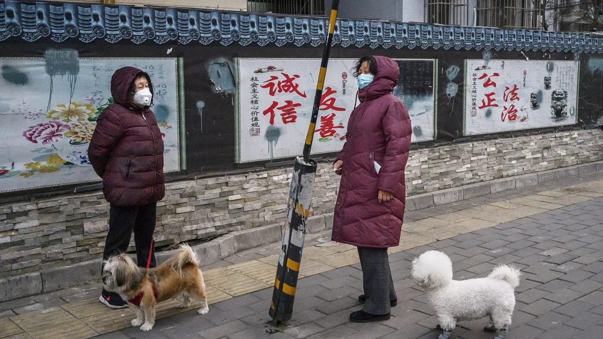 疫情中北京市民在遛狗(與本文無關)(BBC中文網)