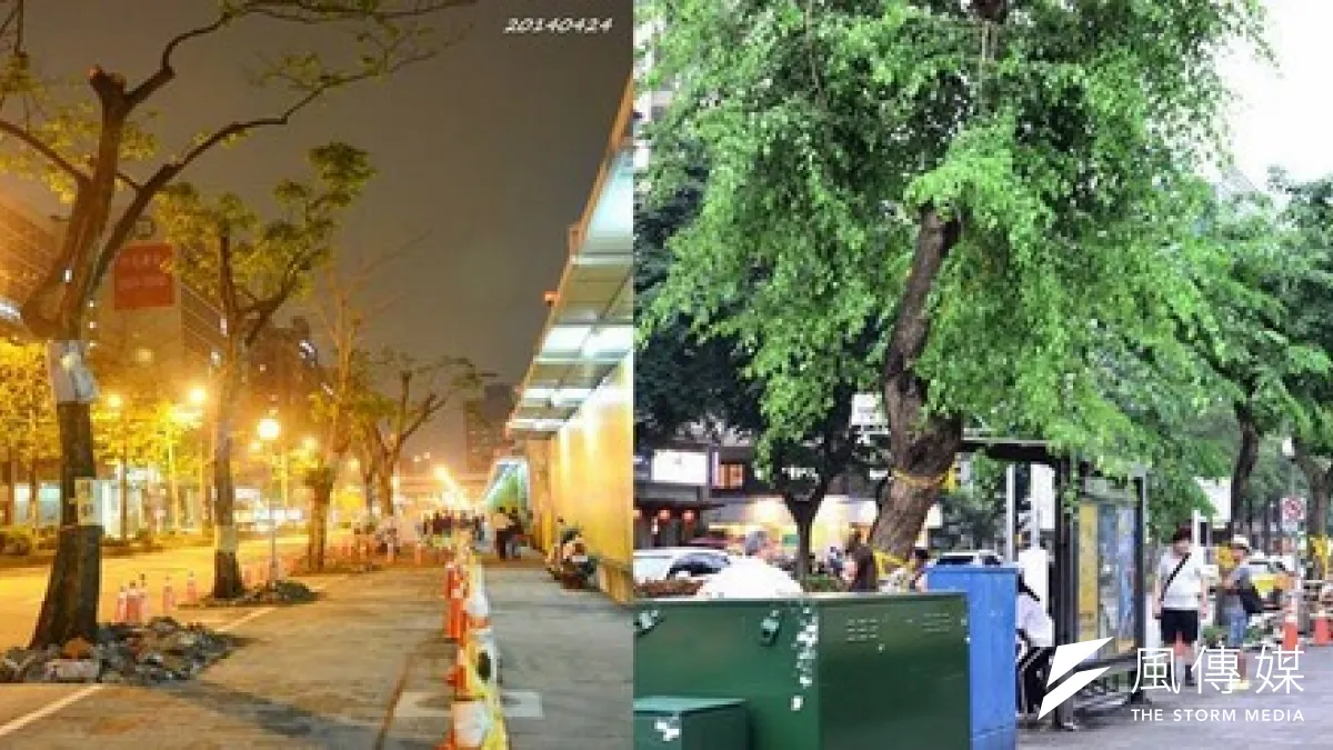松菸護樹行動聯盟在光復南路駐點,反對為了大巨蛋拓寬道路移樹,台北市政府則於日前寄出勸導單,要求護樹盟15日6點前拆除。(取自松菸護樹行動聯盟)