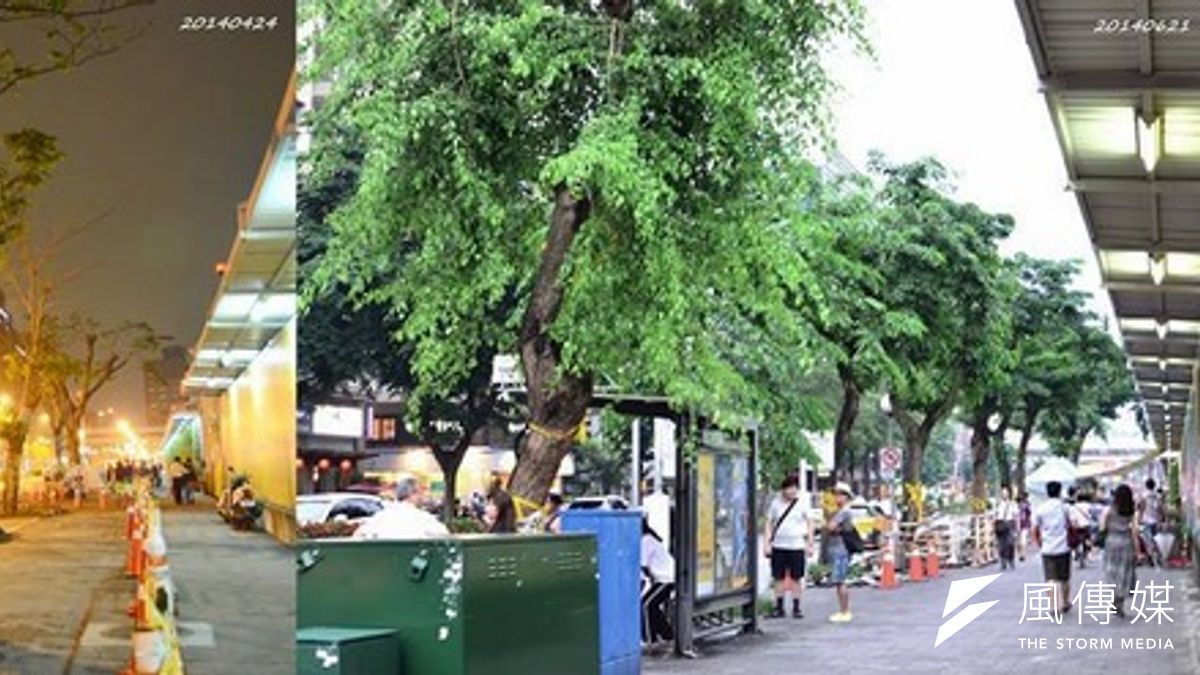 松菸護樹行動聯盟在光復南路駐點,反對為了大巨蛋拓寬道路移樹,台北市政府則於日前寄出勸導單,要求護樹盟15日6點前拆除。(取自松菸護樹行動聯盟) 松菸護樹行動聯盟在光復南路駐點,反對為了大巨蛋拓寬道路移樹,台北市政府則於日前寄出勸導單,要求護樹盟15日6點前拆除。(取自松菸護樹行動聯盟)