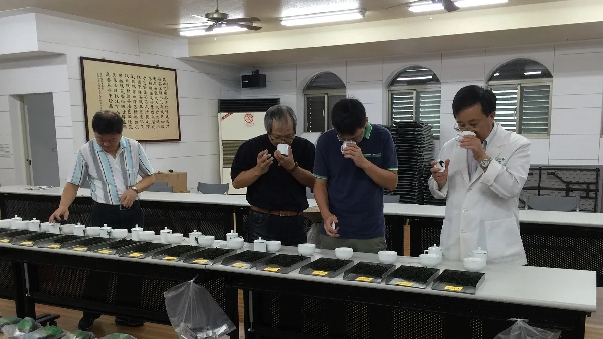 文山包種茶比賽 坪林吳雙福奪冠 文山包種茶比賽 坪林吳雙福奪冠