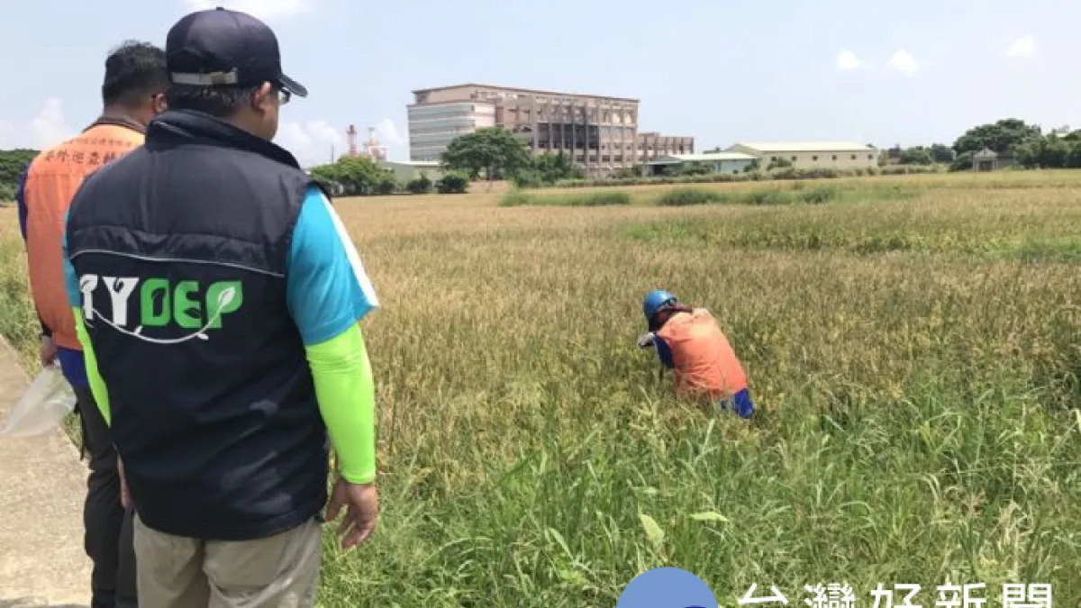 確認滲眉埤污染情形 桃園將擴大農地調查