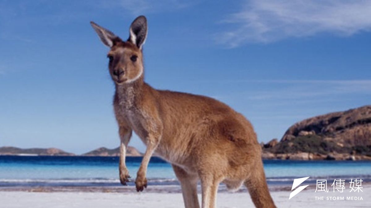 台灣從2004年開始與其他國家簽署「度假打工協定」,目前已有12.8萬人青年參與,其中以無限制名額規定的澳洲,為最多台灣青年前往的國家。(取自網路) 台灣從2004年開始與其他國家簽署「度假打工協定」,目前已有12.8萬人青年參與,其中以無限制名額規定的澳洲,為最多台灣青年前往的國家。(取自網路)