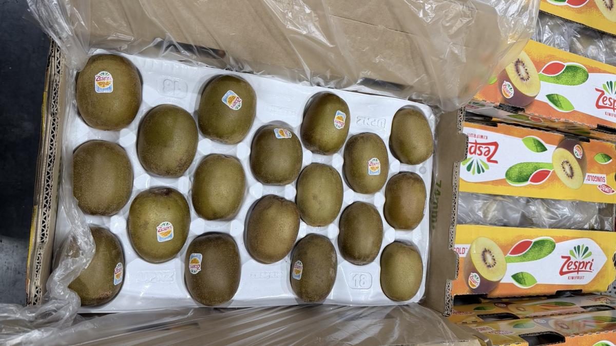 好市多推盛夏好康 買Zespri陽光金圓頭奇異果送精美購物袋