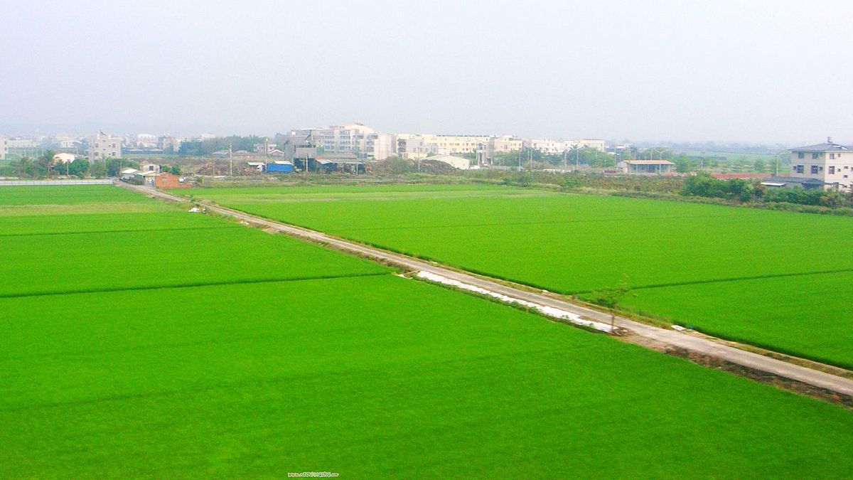 要評價八田與一,最好的方式就是直面嘉南大圳與台灣農民的關係。(圖/chia ying Yang@flickr) 要評價八田與一,最好的方式就是直面嘉南大圳與台灣農民的關係。(圖/chia ying Yang@flickr)